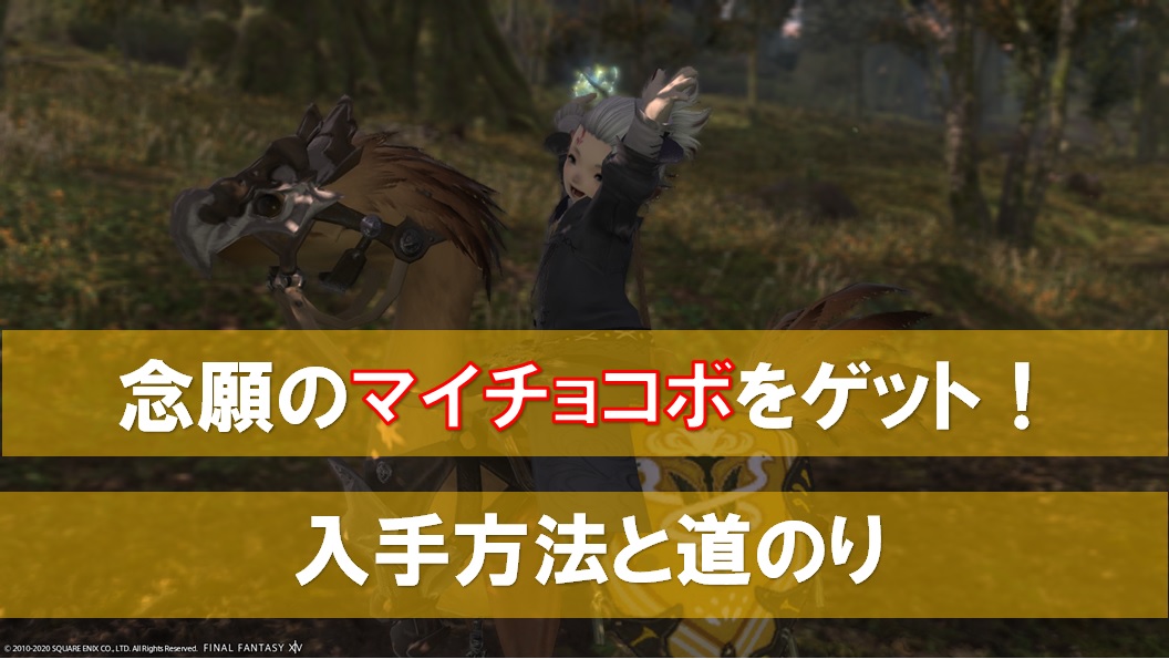 Ff14初心者向け ４ マイチョコボ獲得までの道のり えすてろゲーム研究所