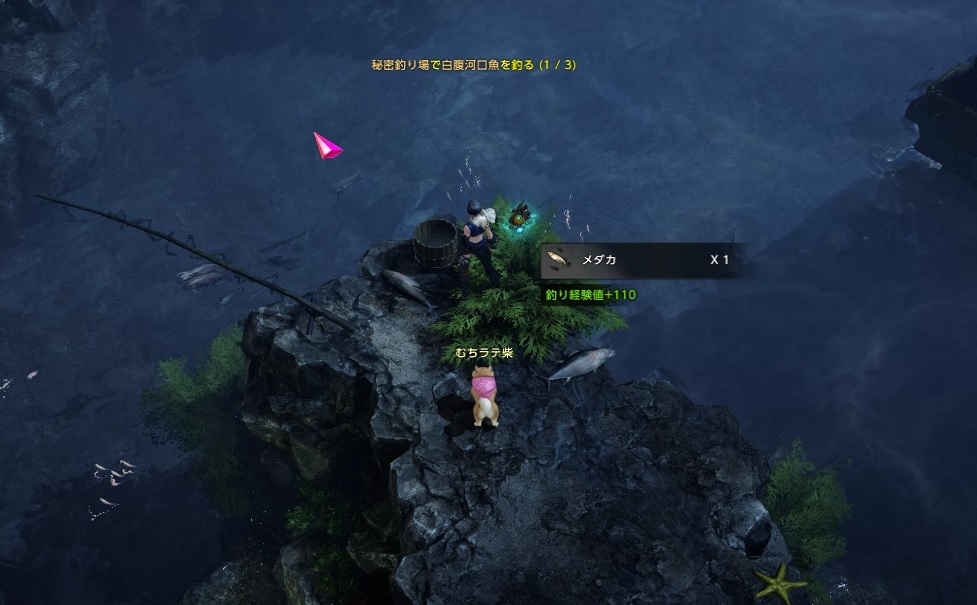 ロストアーク 忘れさられた街の進め方 島の心入手方法とモココなど えすてろゲーム研究所 ロストアーク 忘れさられた街の進め方 島の心入手方法とモココなど えすてろゲーム研究所